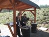 010_zmiana_rozmiaru~11.JPG