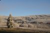 DSC_9559.JPG